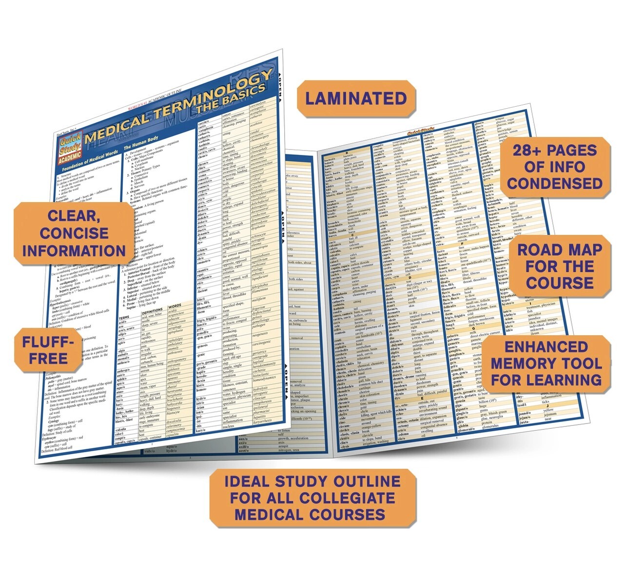 Medical Terminology: The Basics: Tri-Fold Laminated Reference Guide Brand New!