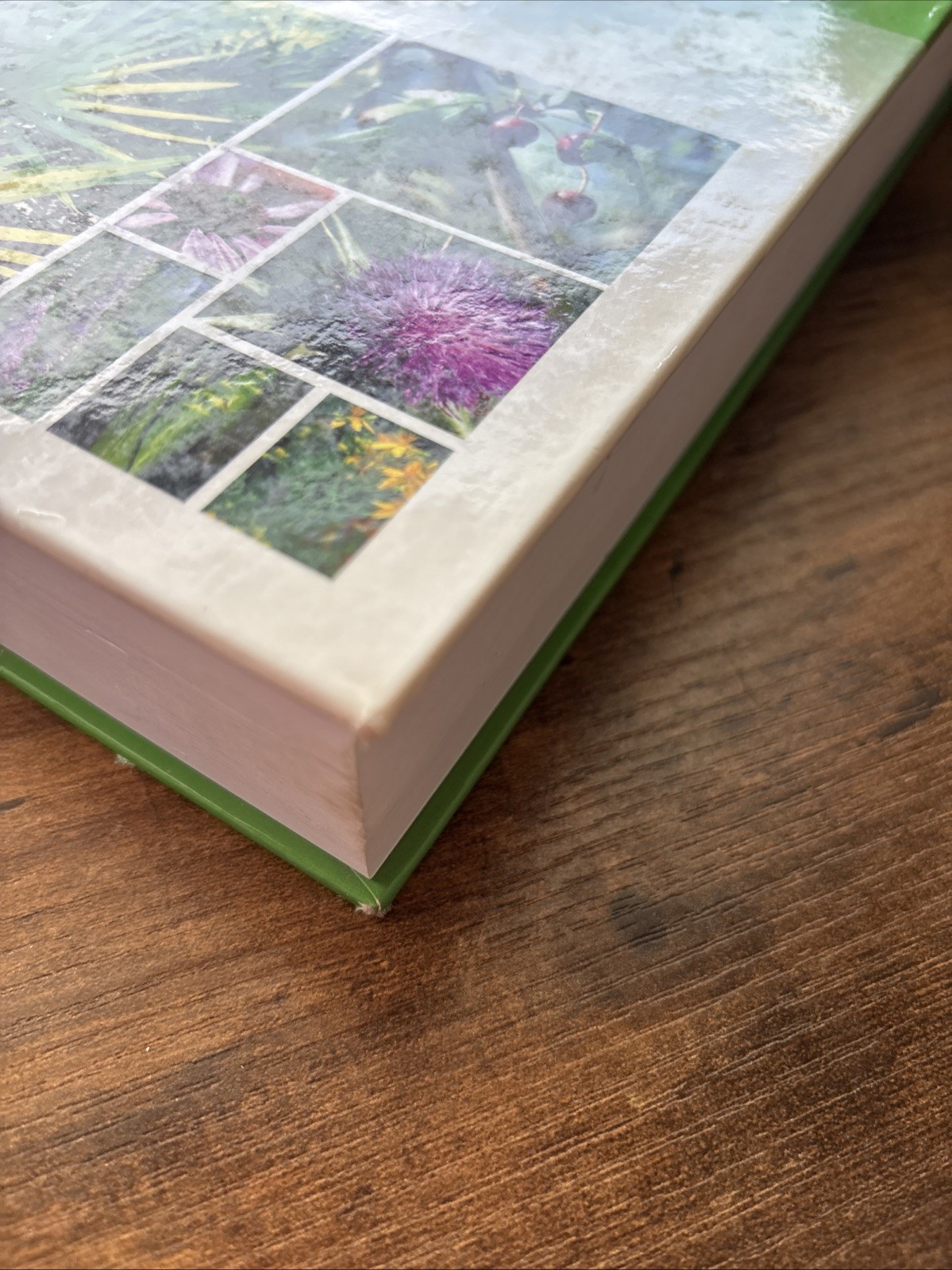 Principles and Practice of Phytotherapy : Modern Herbal Medicine by Kerry…