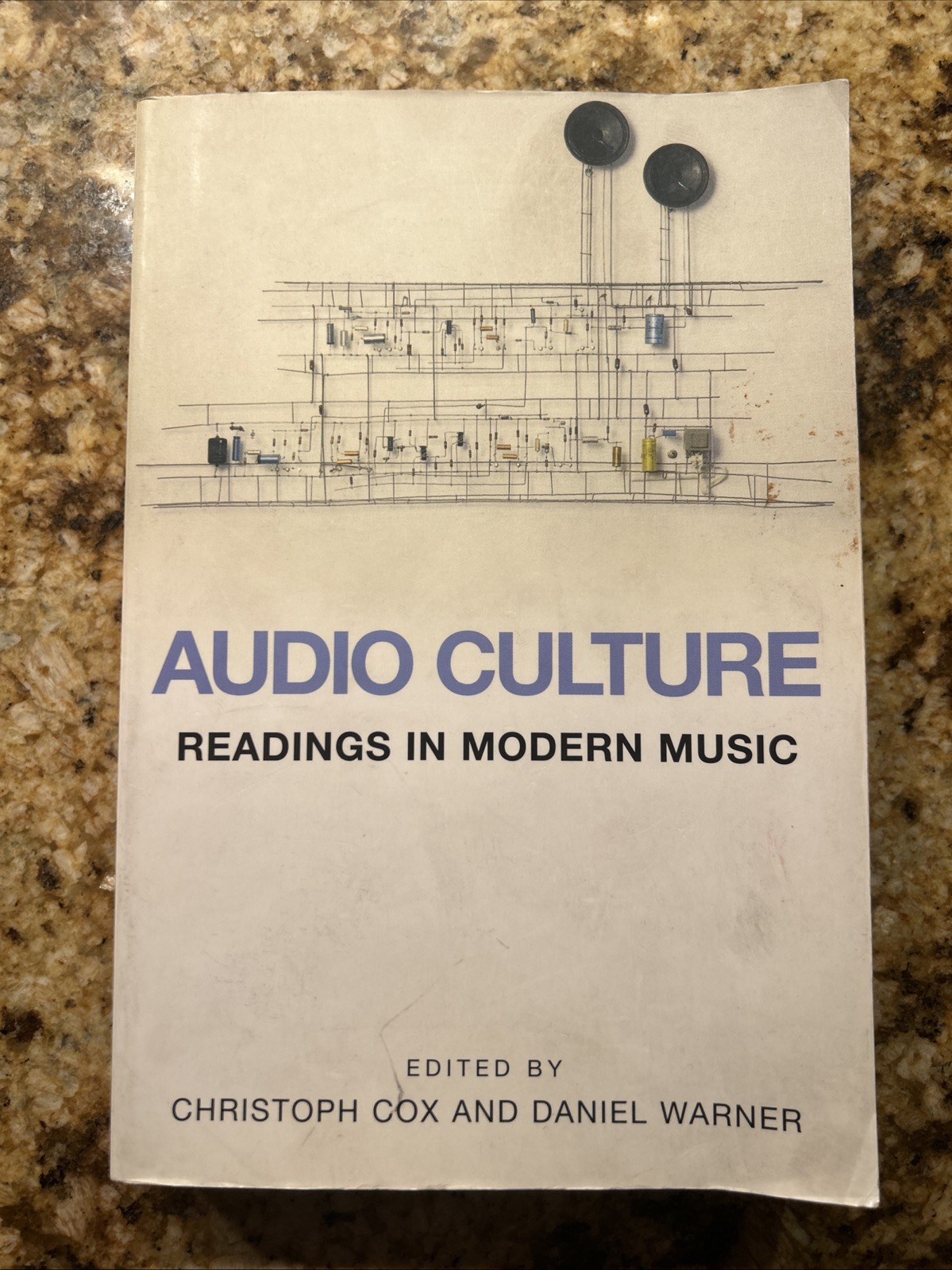 Audio Culture: Readings in Modern Music by Christoph Cox and Daniel Warner