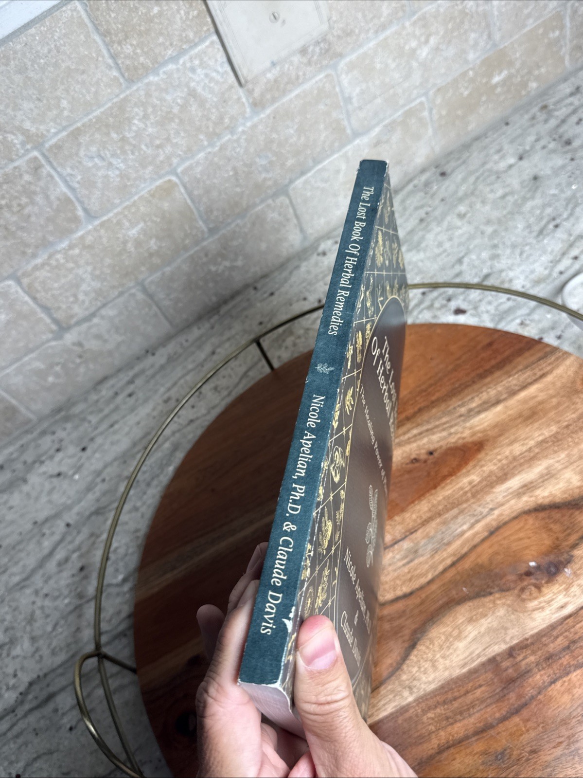 Lost Book Of Herbal Remedies: Healing Power Plant Medicine Apelian & Davis