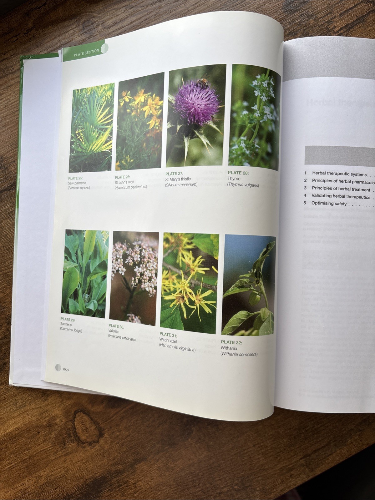 Principles and Practice of Phytotherapy : Modern Herbal Medicine by Kerry…