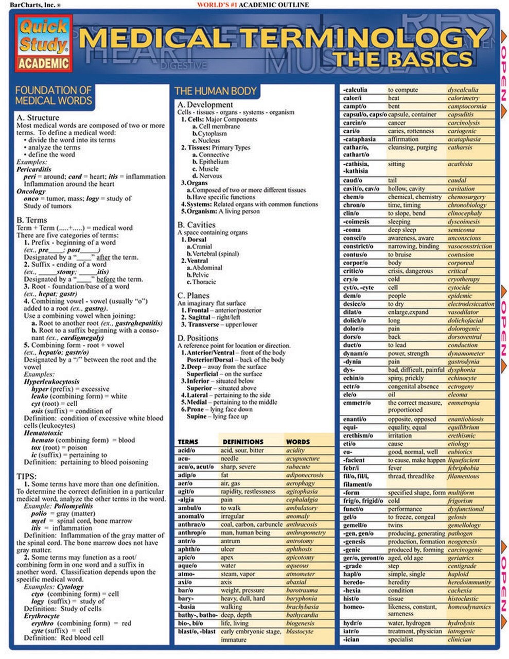 Medical Terminology: The Basics: Tri-Fold Laminated Reference Guide Brand New!