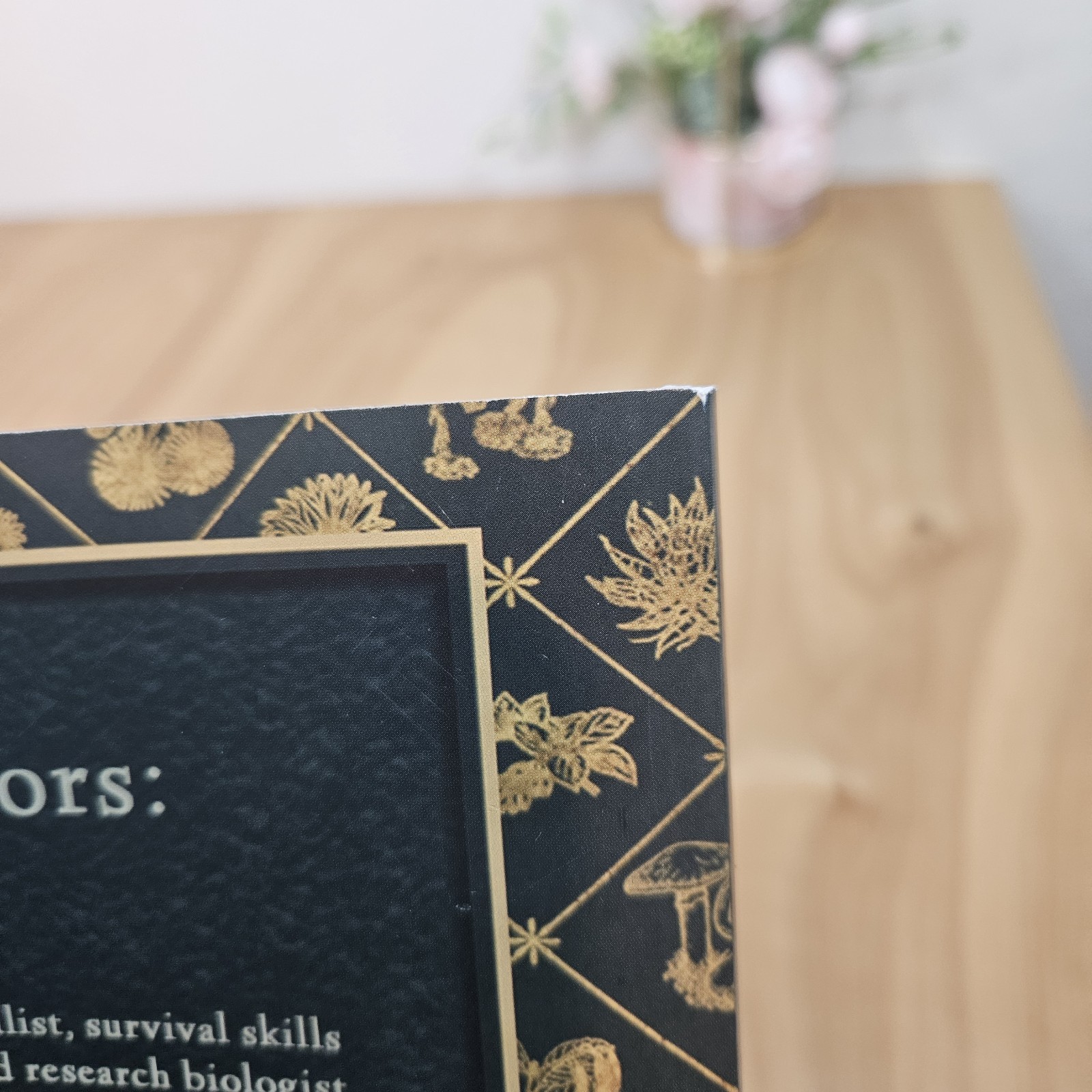 Lost Book of Remedies by Nicole Apelian and Claude Davis Sr.