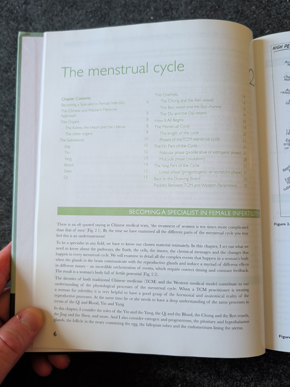 Treatment of Infertility with Chinese Medicine by Jane Lyttleton (2013) (K)