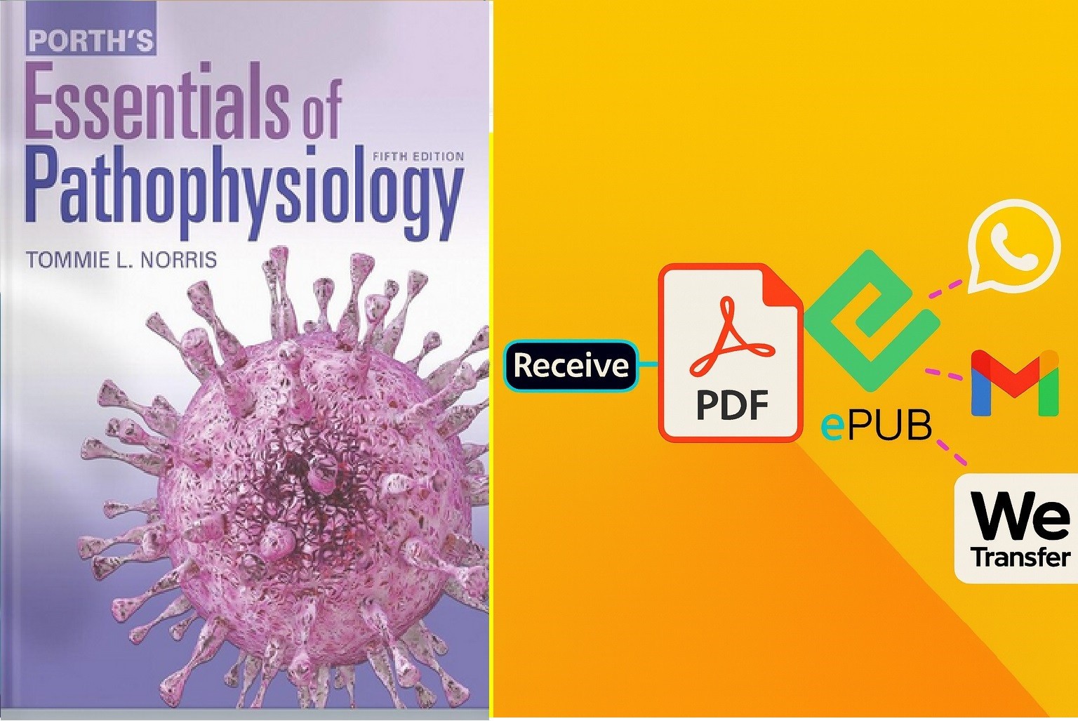 Porth’s Essentials of Pathophysiology , by Norris Tommie L. – Good pdf/usb