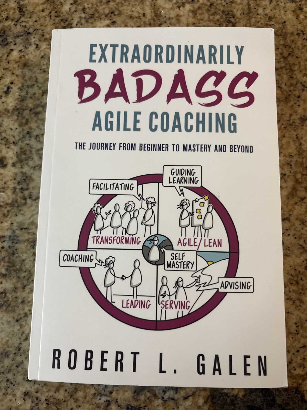 Extraordinarily Badass Agile Coaching: The Journey from Beginner to Maste – VG