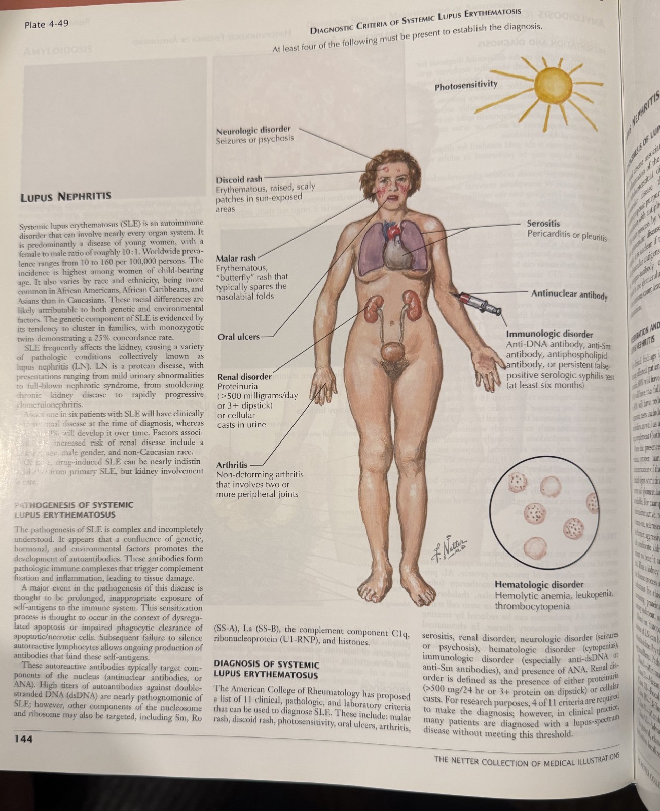 Netter Green Book Collection: Netter Collection of Medical Illustrations:…