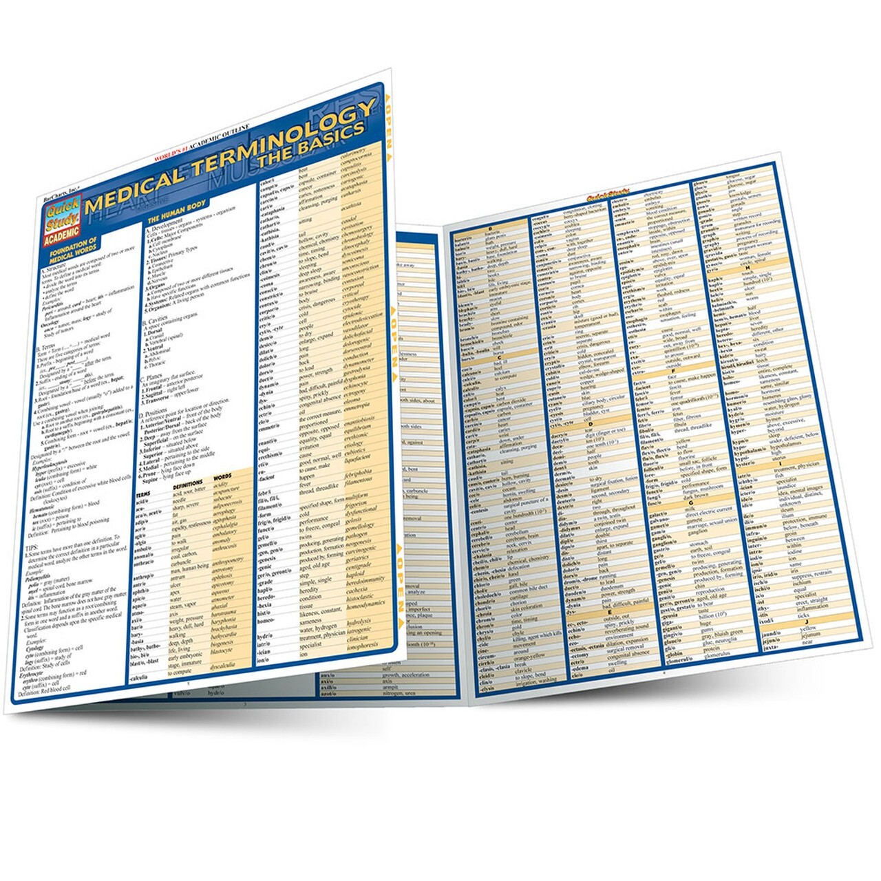 Medical Terminology: The Basics: Tri-Fold Laminated Reference Guide Brand New!