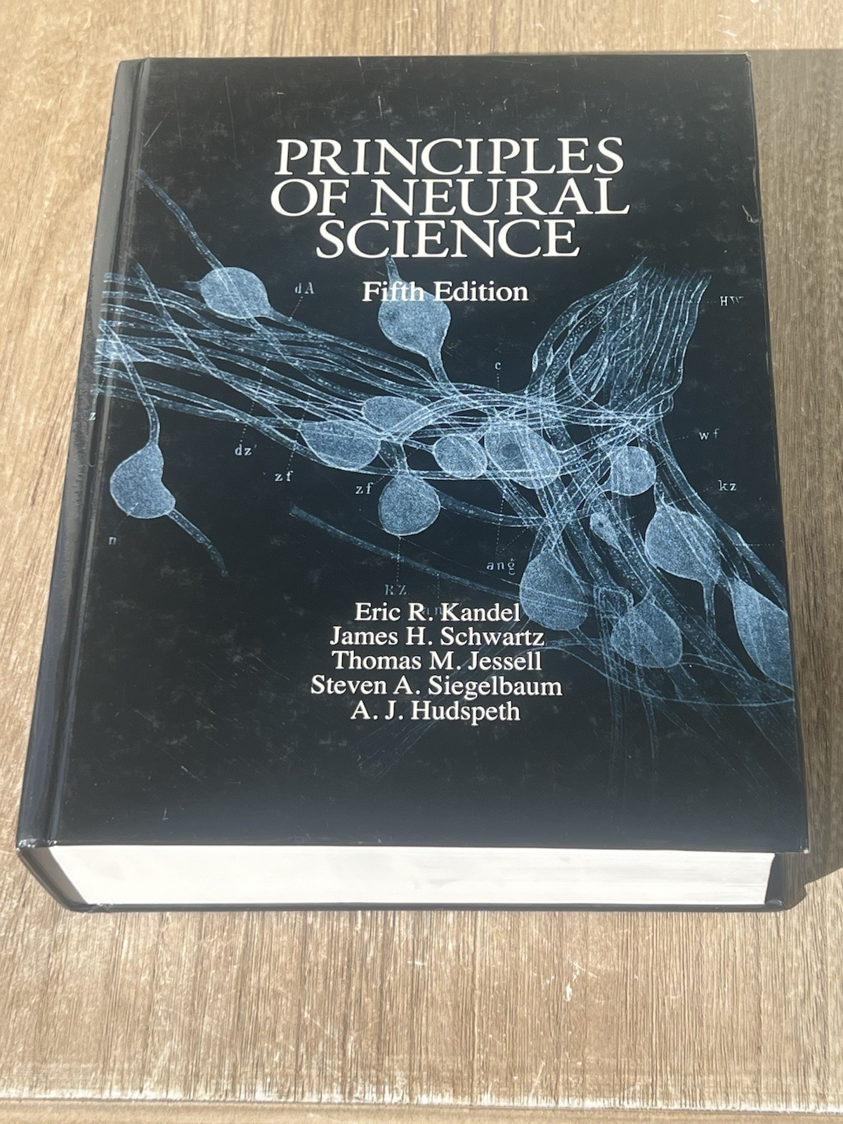 Principles of Neural Science Fifth Edition Thomas M Jessell Eric R. Kandel