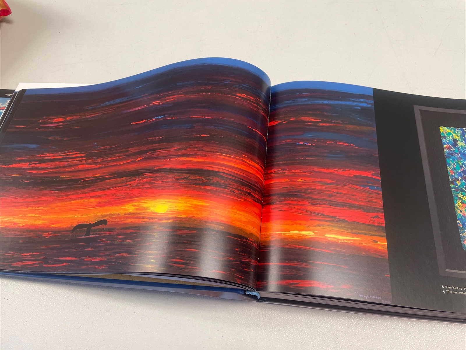 Wyland One Hundred Whaling Walls By Wyland And Introduction By Dr. Roger Payne