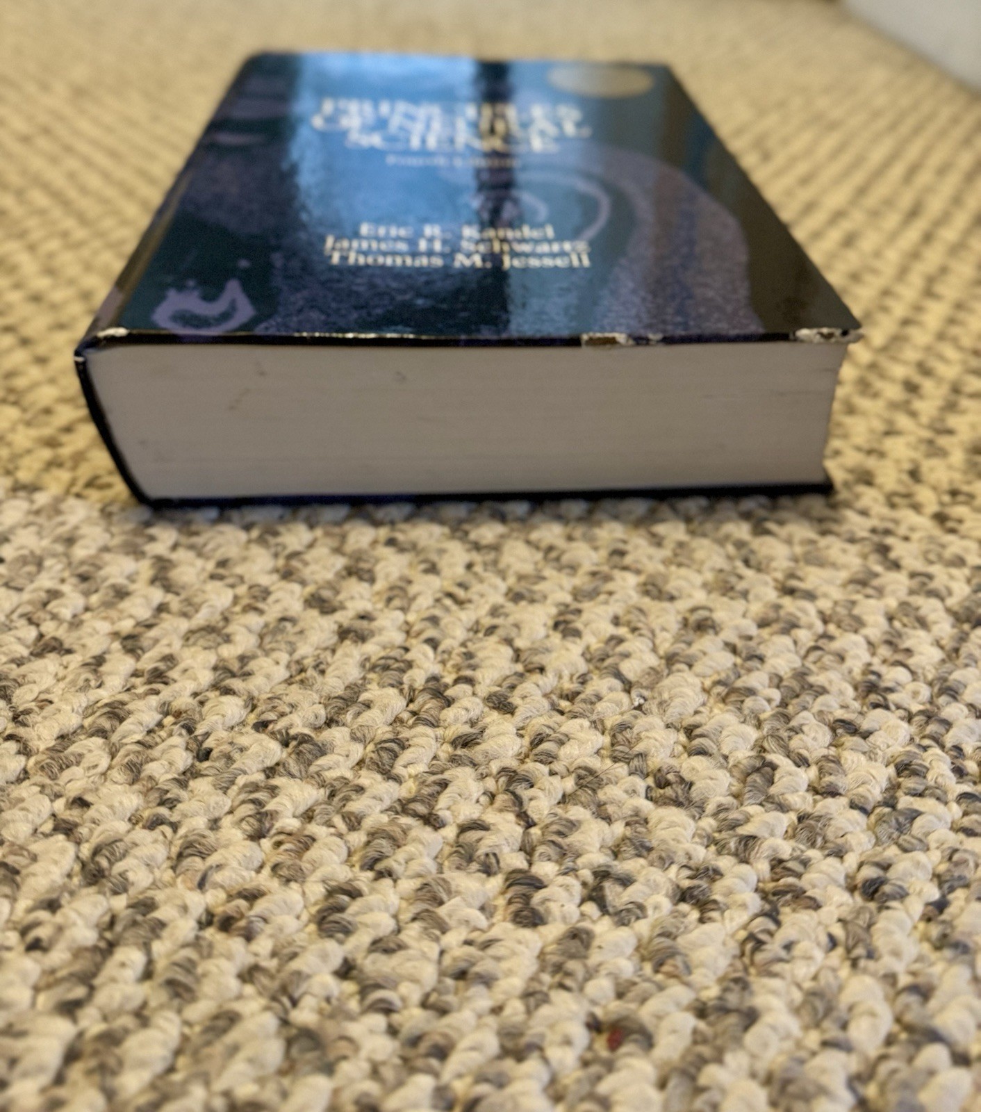 Principles of Neural Science Fourth Edition Eric Kandel Hardback Textbook 2000