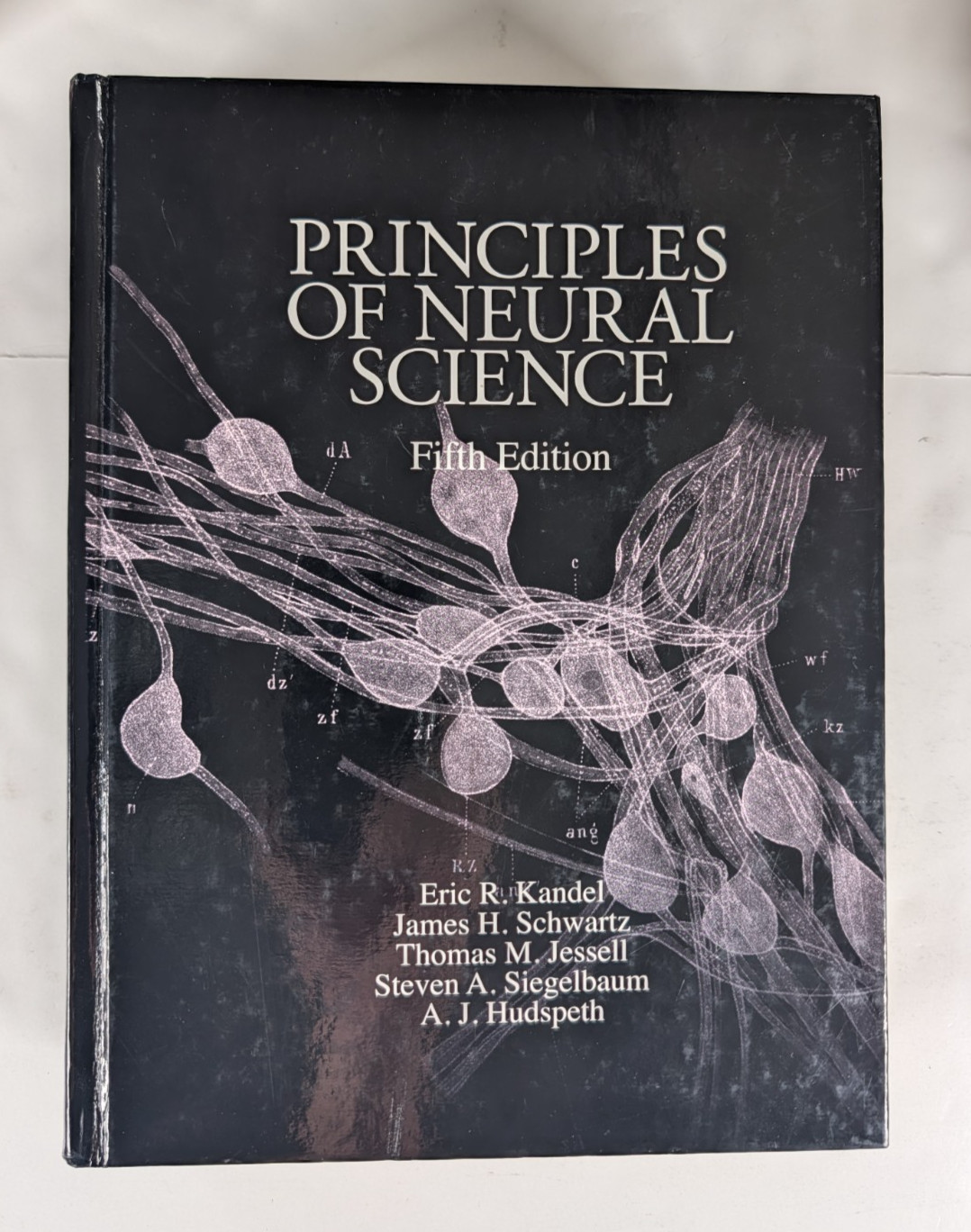 Principles of Neural Science Fifth Edition Hardcover Book 2013 Medical Textbook