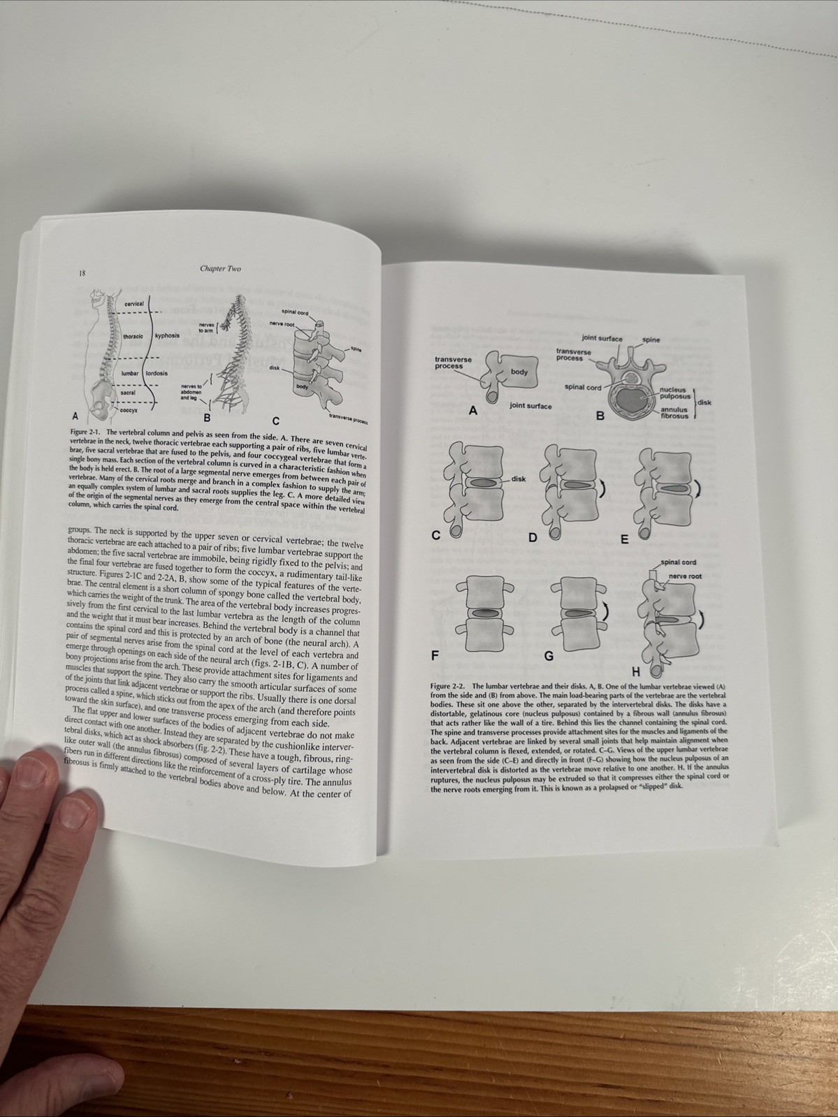 The Biology of Musical Performance and Performance-Related Injury 2009 No CD
