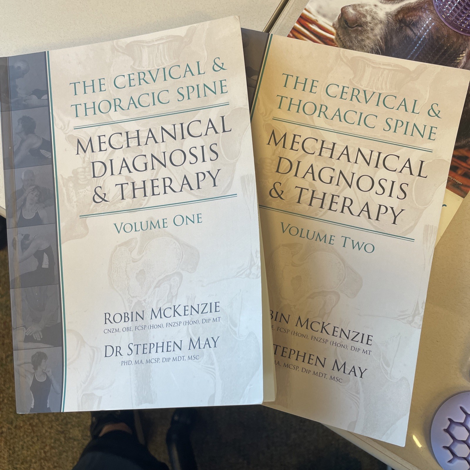 Cervical and Thoracic Spine : Mechanical Diagnosis and Therapy 2nd ed, Paperback