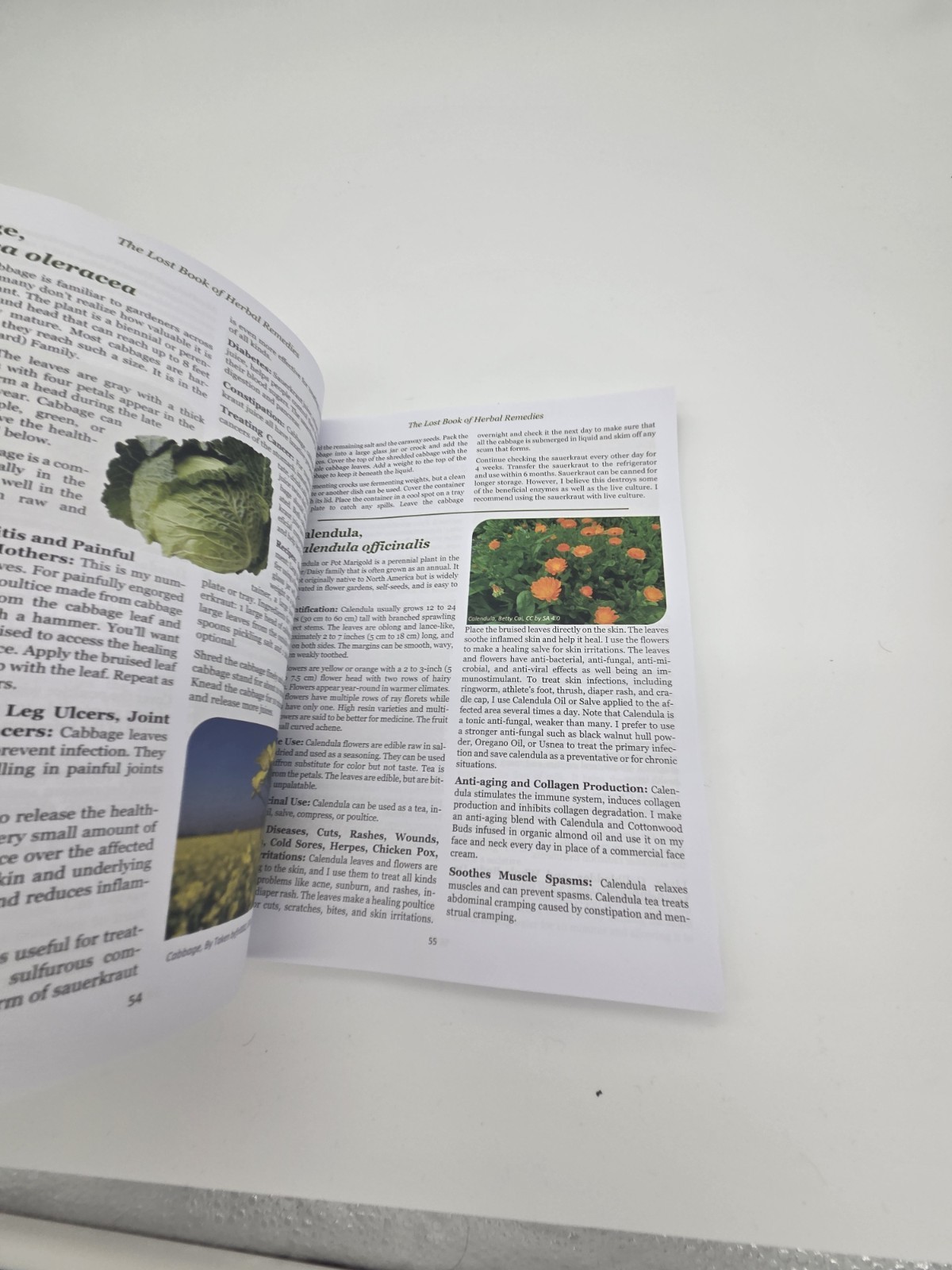 Paperback; The Lost Book of Herbal Remedies; Nicole Apelian & Claude Davis A16