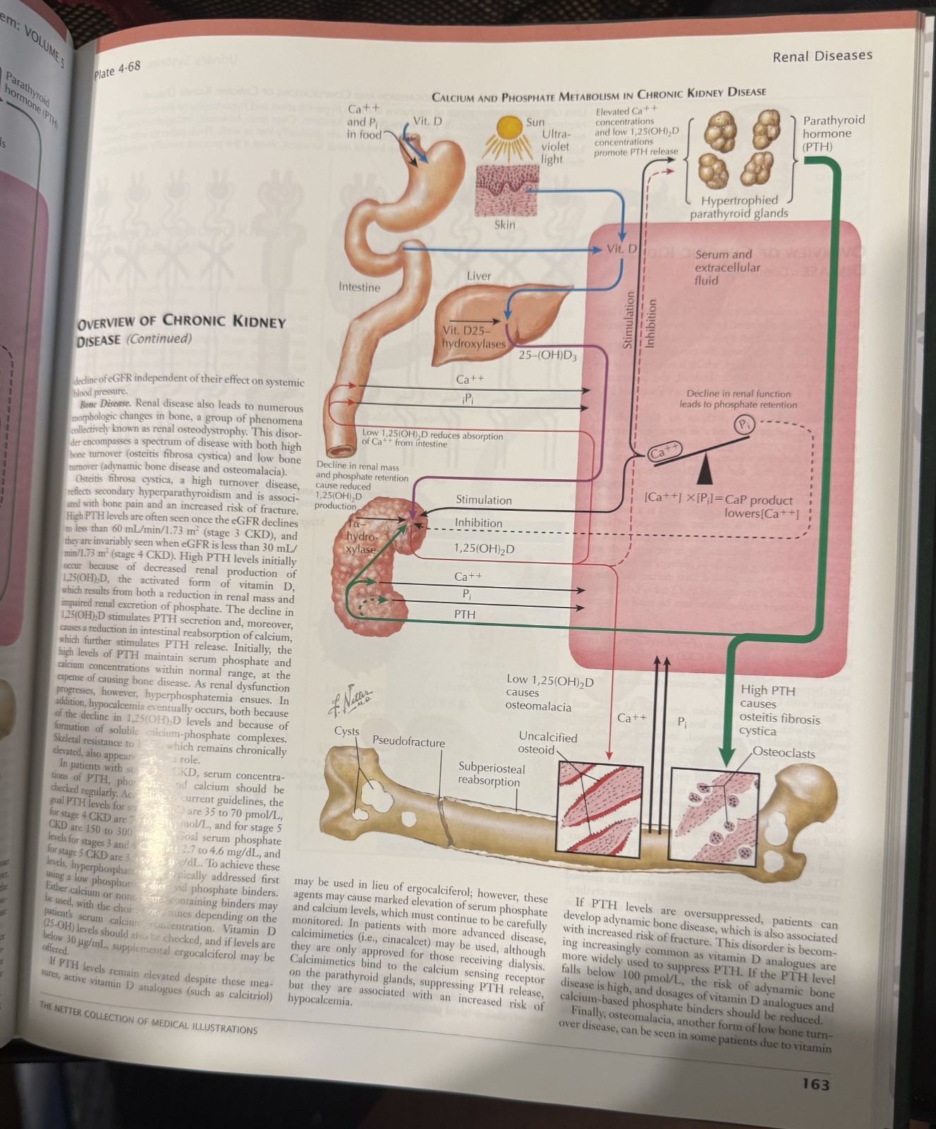 Netter Green Book Collection: Netter Collection of Medical Illustrations:…