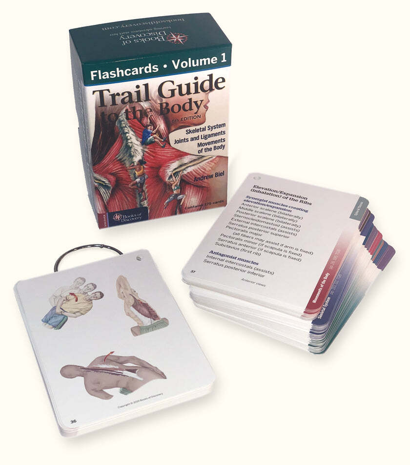 Trail Guide to the Body Flashcards Volume 1 – 6th Edition