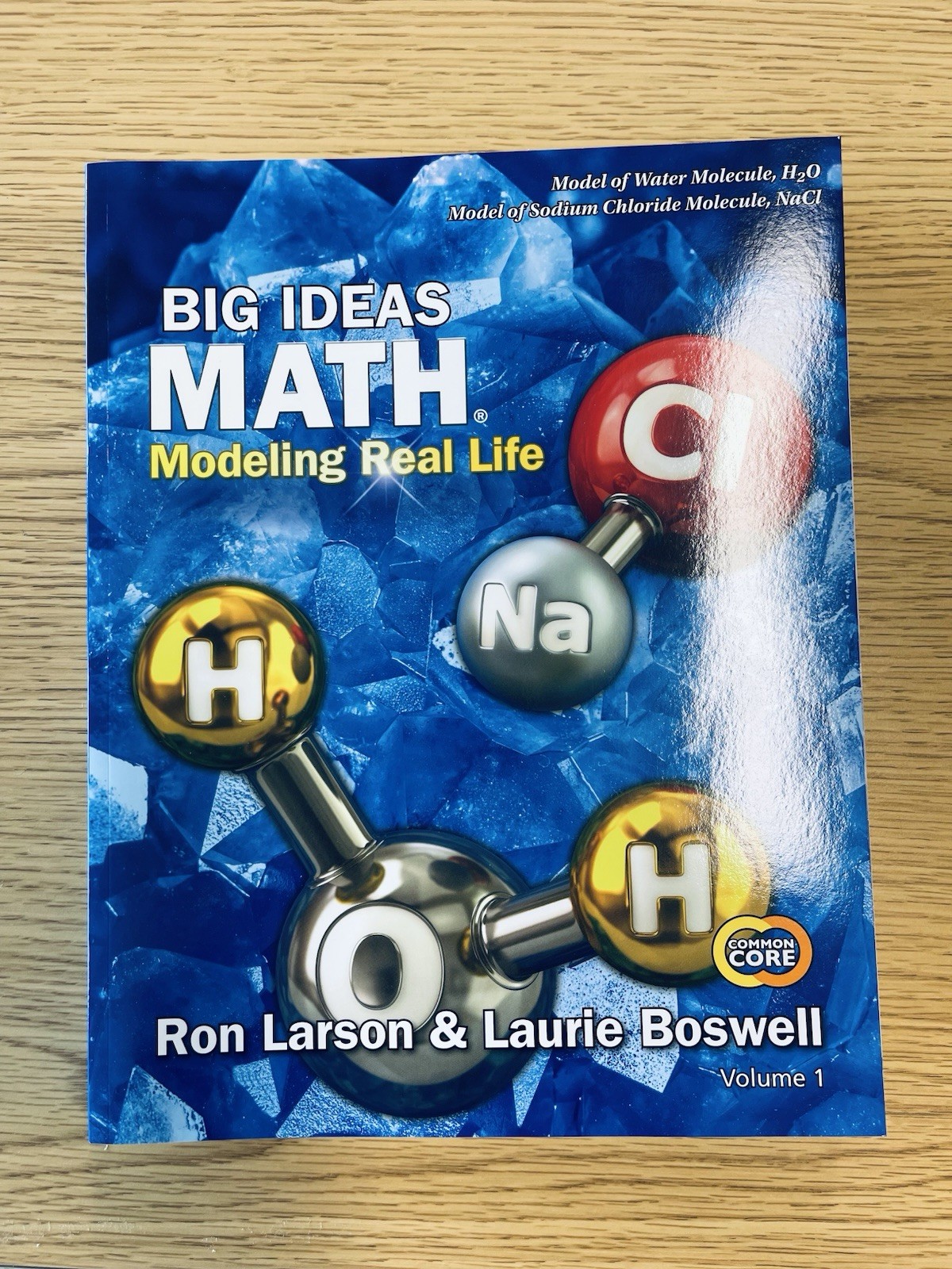 Big Ideas Math Workbook – Grade 5 Volume 1 Student Edition