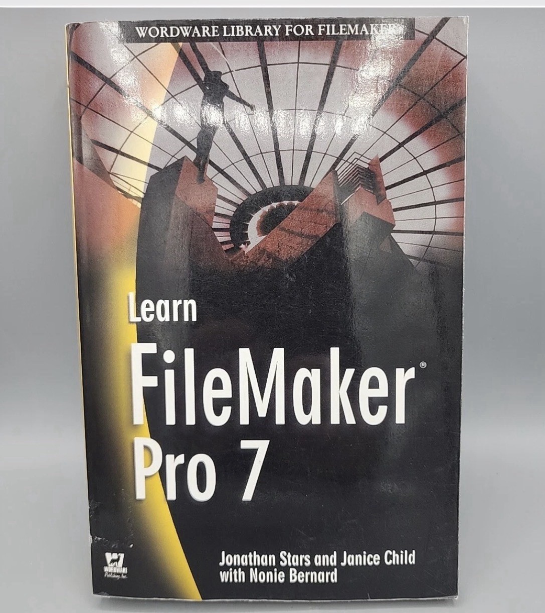 Learn Filemaker Pro 7 Worldwide Library Jonathan Stars Janice Child Paperback