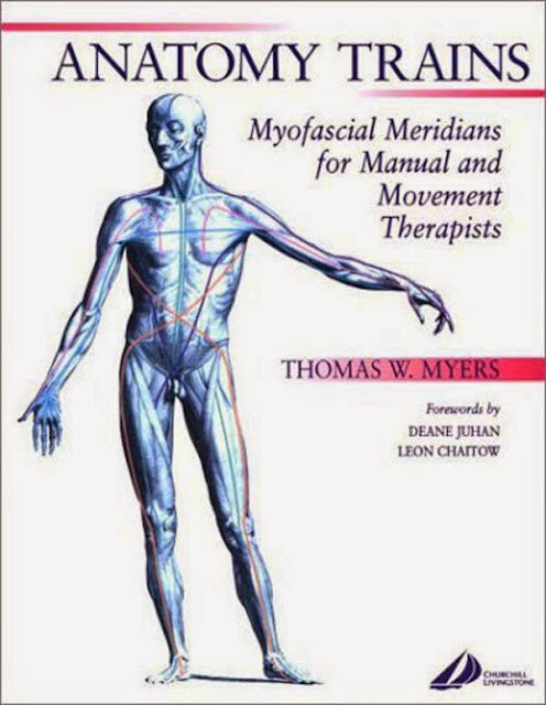 Anatomy Trains by Thomas W Myers