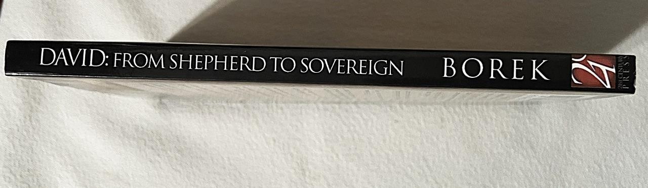 DAVID FROM SHEPHERD TO SOVEREIGN JOHN M BOREK 2004 PAPERBACK BOOK 240 PAGES