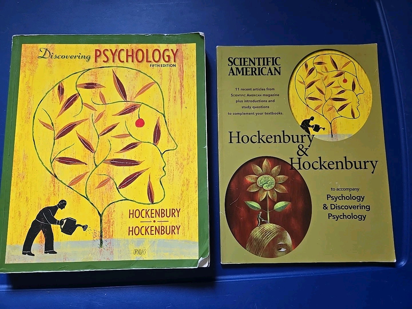 Vintage Lot Of 2 Discovering Psychology, 5th Edition & Companion Textbook!