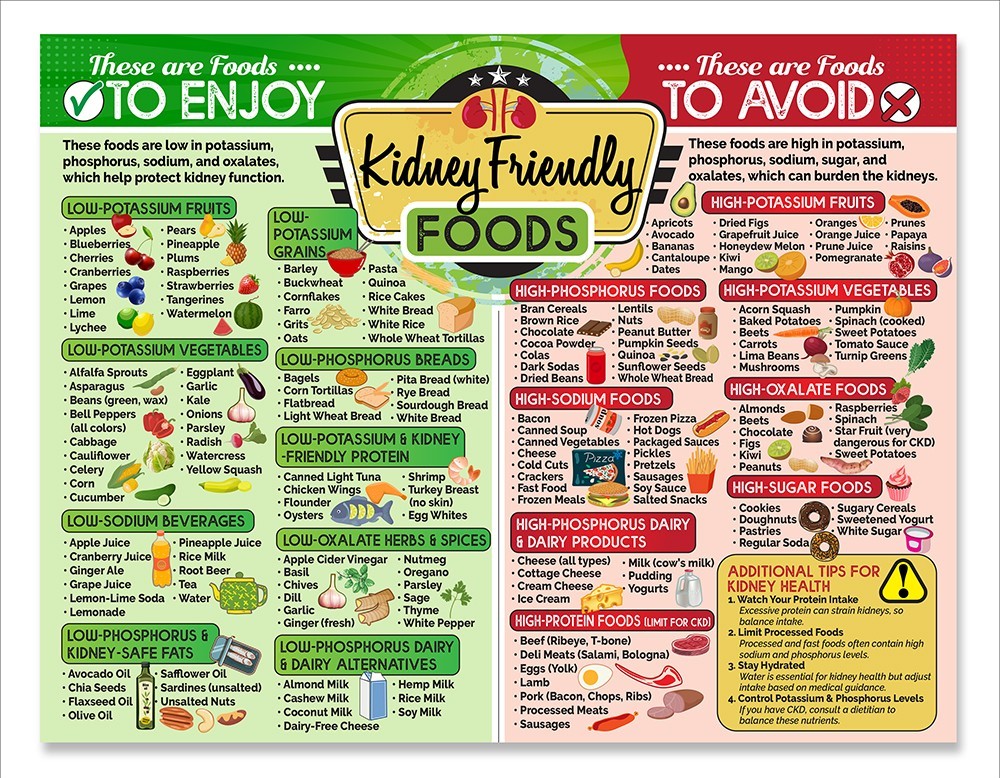 Kidney-Friendly Foods 8.5×11 Magnet –Renal Diet Chart Nutrition Guide for Fridge