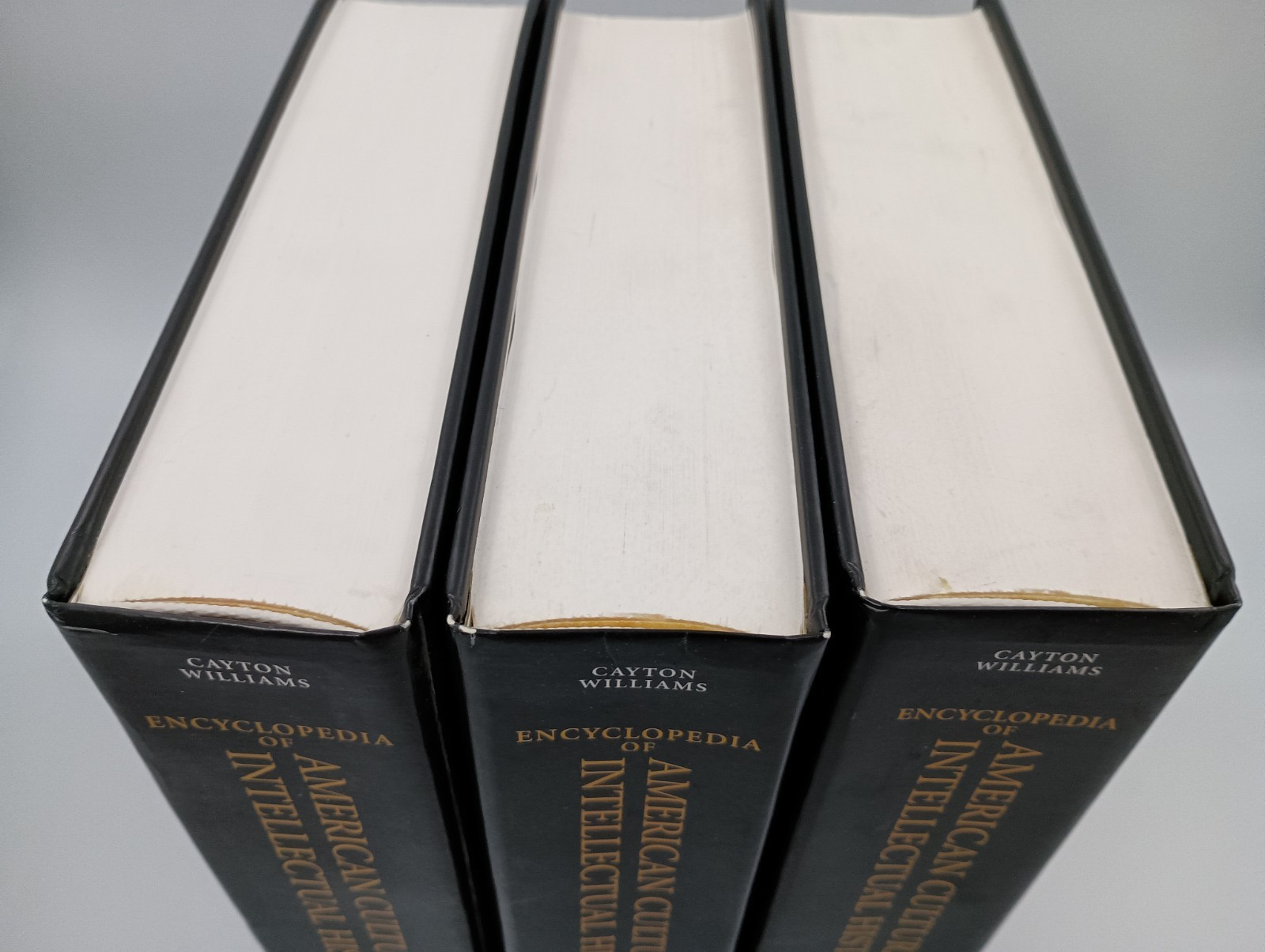 Encyclopedia of American Cultural & Intellectual History. Complete 3-Volume Set!