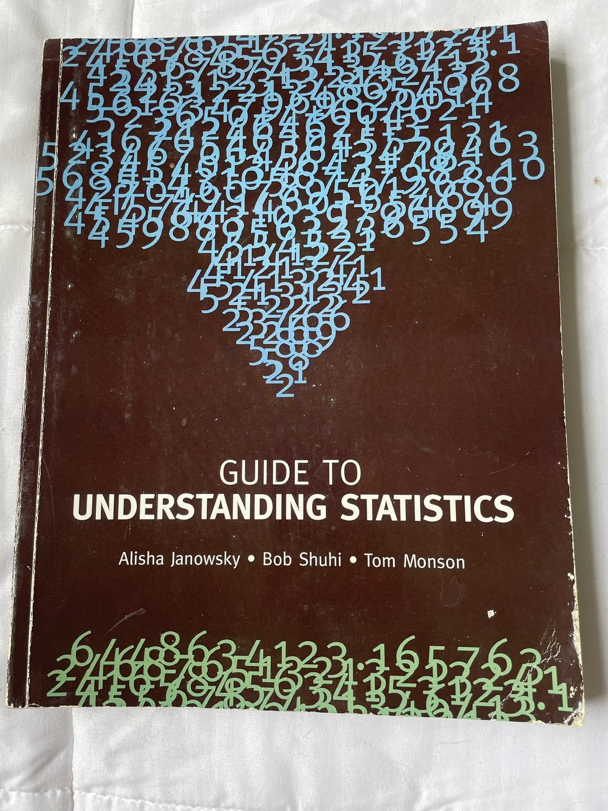 GUIDE TO UNDERSTANDING STATISTICS By Alisha Janowsky * Good Condition* RARE BOOK