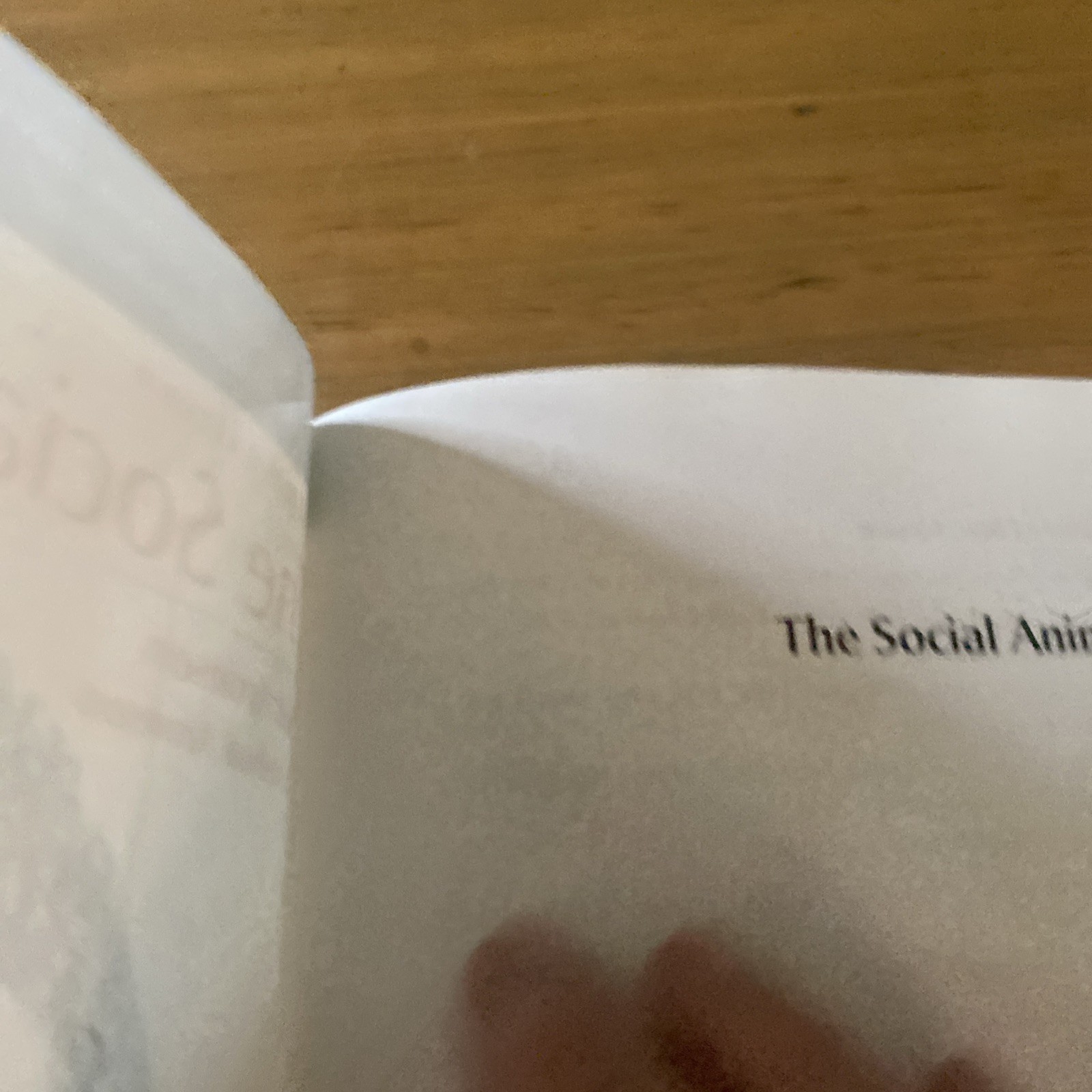 The Social Animal Twelfth Edition