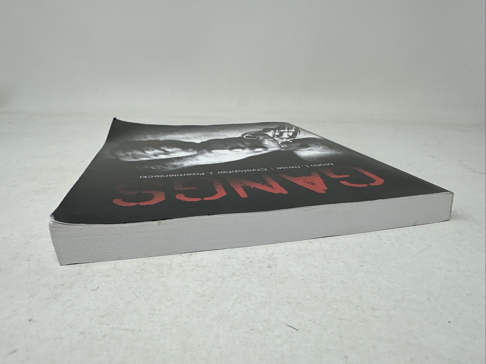Gangs 2nd Edition by Hesse, Smith and Przemieniecki (2020, Paperback, UNMARKED!)