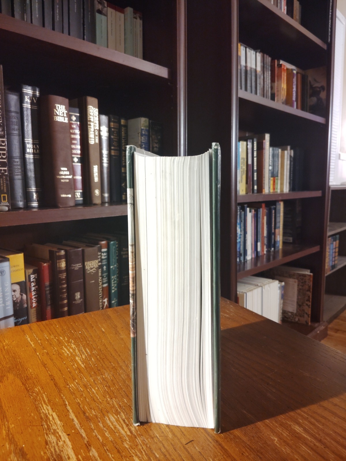 Eerdmans Dictionary of the Bible – Hardcover, by Freedman David Noel